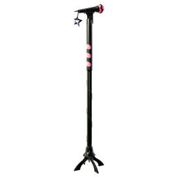 LISA's Classic Mic