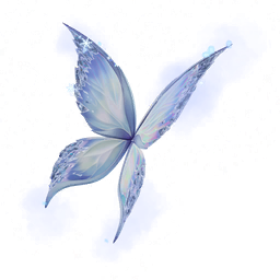 Aligelide della signora