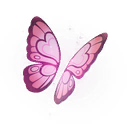 Olivia's Butterfly Wings