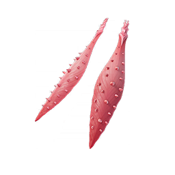 ポイズン・ペタル