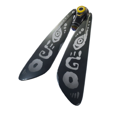 ปีกติดหลัง