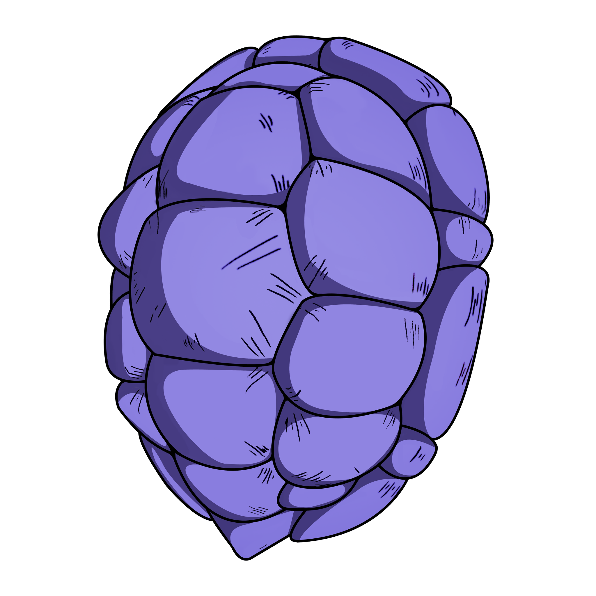 亀仙人の甲羅（レア バックアクセサリー）- フォートナイト