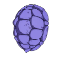 Small icon