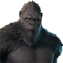 Kong