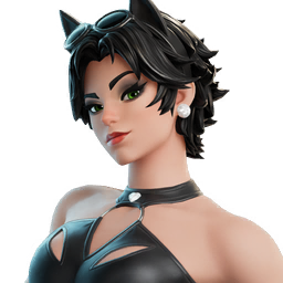 Skin Coastal Catwoman Fortnite Icon Image