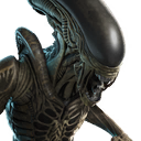 character_tulipglory