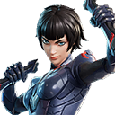 L'Ordine tecnologia furtiva