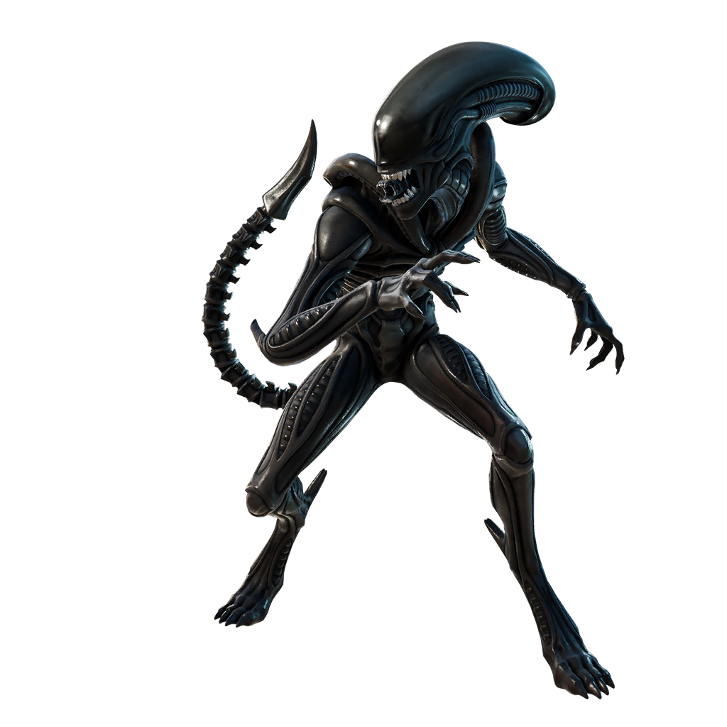 Xenomorph