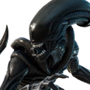 Xenomorph