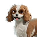 Sandy Spaniel