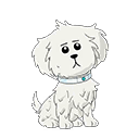 Snowball