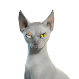 Meowdas Sphynx