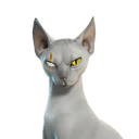 Meowdas Sphynx