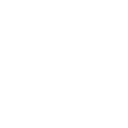 Rayon de Minou fractal