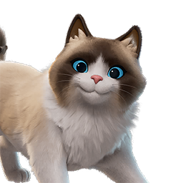 Edle Ragdoll-Katze