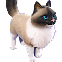 High Mitted