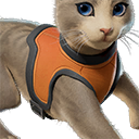 Orange Cat