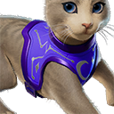 Starry Cat