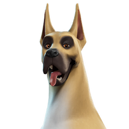 The Dane