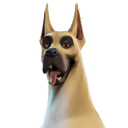 The Dane
