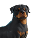 EsDeeKid's Canine