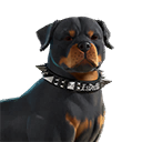 EsDeeKid's Canine (collar on)