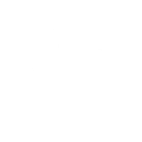 Running Wheel