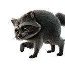 Small icon