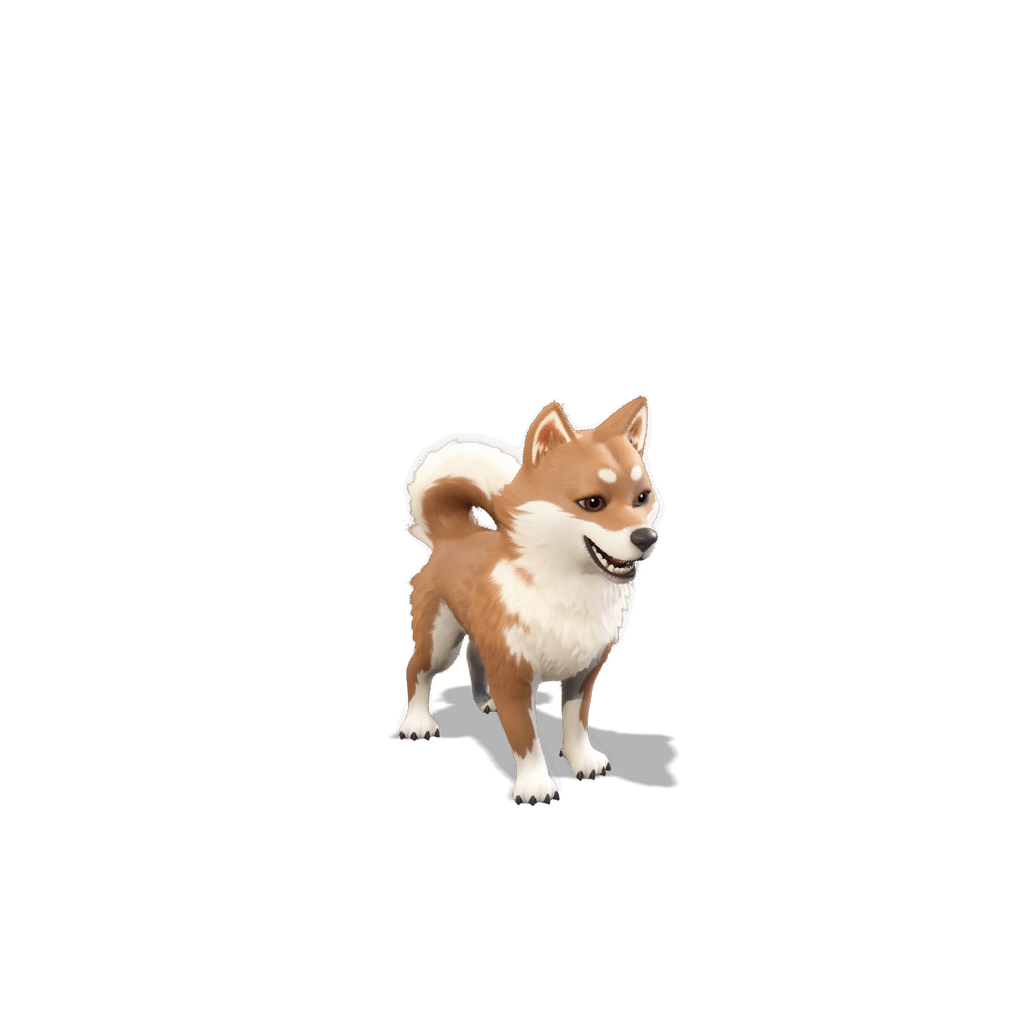 味噌