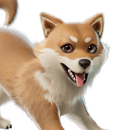 Miso