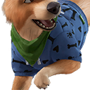 Paws & Bones