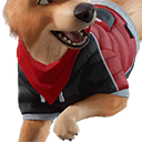 Athletic Ace