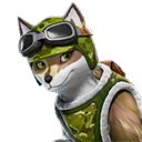 Camo
