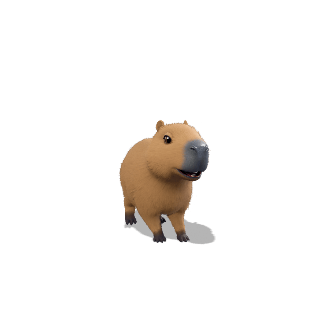 Capy calme