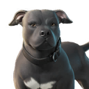 Dog (Gradient)
