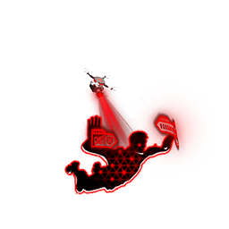 Signalsturz