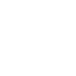 The Largest