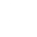 null Fortnite Emote