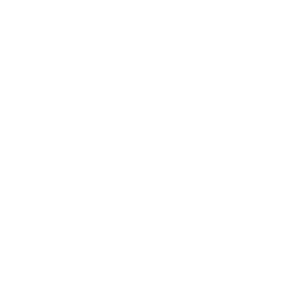 Rhyme Dust