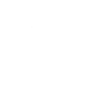 Scout Regiment Salute