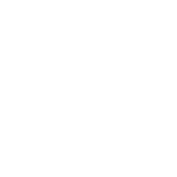 水母舞