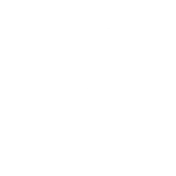 Regolatore del motore