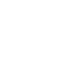 独立