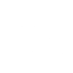 文本