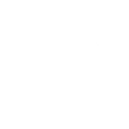 Saluto del guanto d'arme