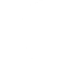 Follow the Butterfly