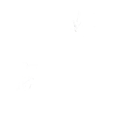 Tagger’s Groove