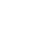 null Fortnite Emote