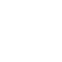 Lazer Flex Fortnite Emote