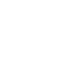 メタモルフォーシス